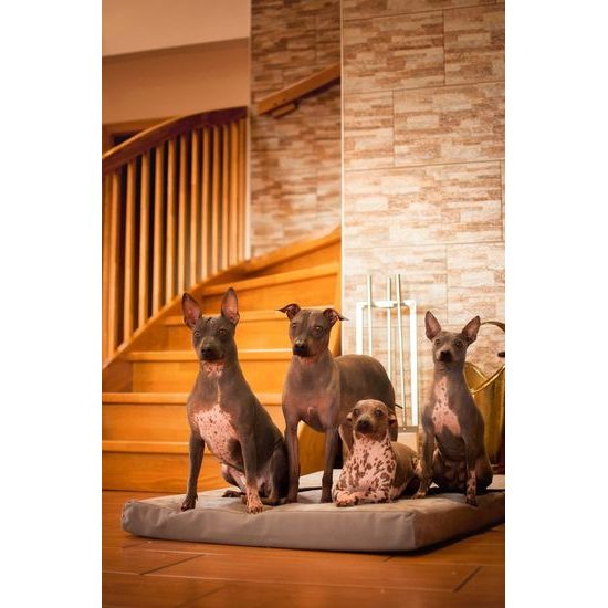 Matrace Aminela 120x80x10cm Half and Half šedá/šedá