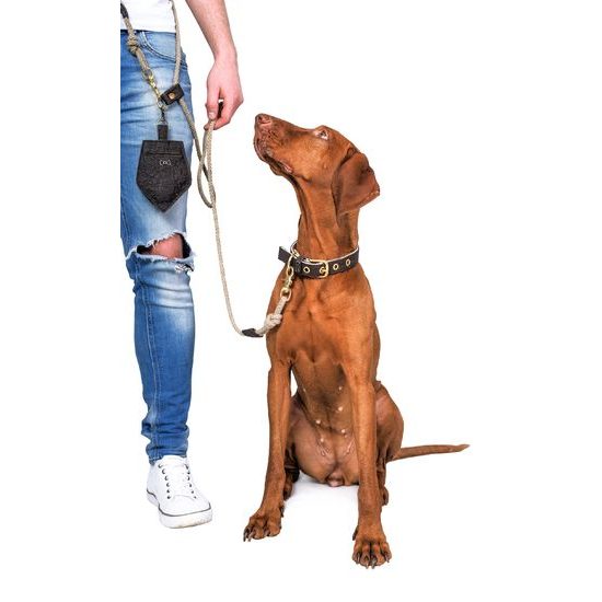 FUNKY DOG Hnědý pamlskovník Piňamka