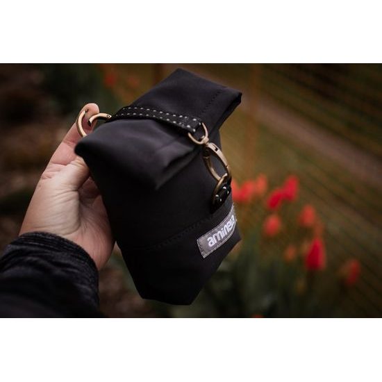 Aminela pamlskovník tyrkysový