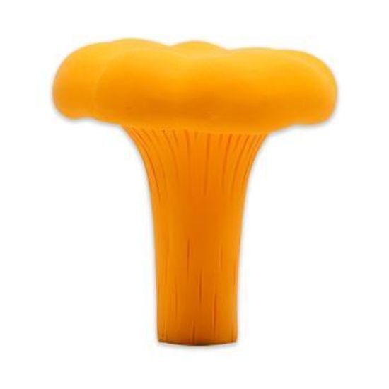 Akinu ČESKÝ LES Houba liška latexová hračka pro psy 7 cm