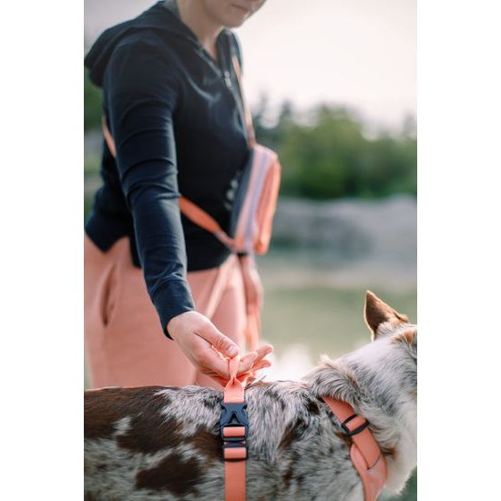 Woolly Wolf Roam Harness