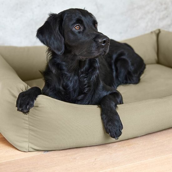 PALOPA Dog Bed Fred S sage