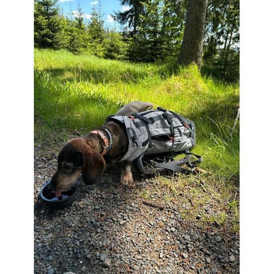 K9 sports sack Urban 3 batoh pro psa do 18 kg