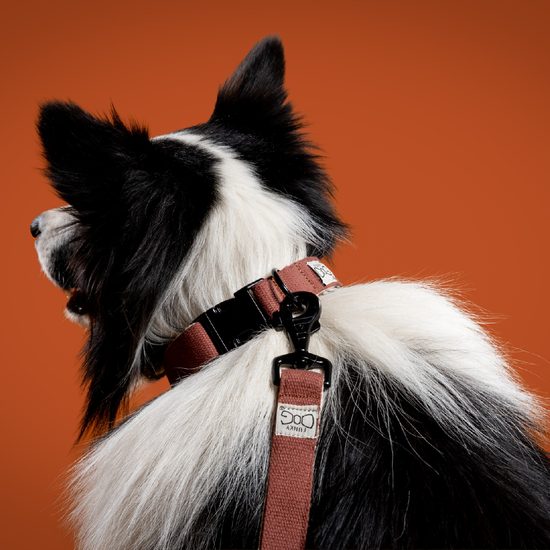 FUNKY DOG Konopné krátké vodítko pro psa 1,7 m hnědé