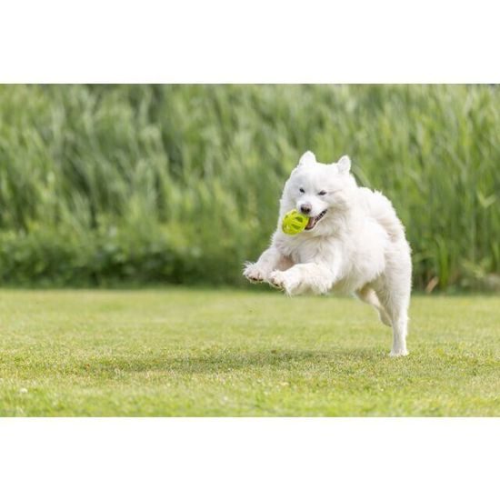 Trixie Honeycomb Rugby prodyšný rygby míč 11 cm TPR limetková