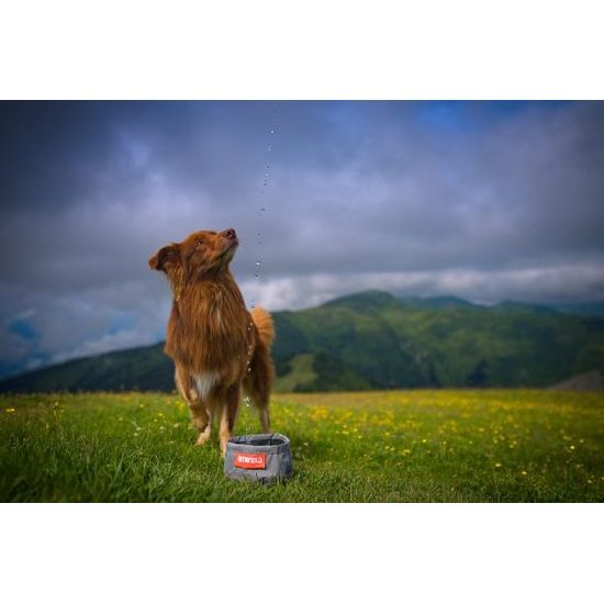 Aminela Cestovní miska šedá 3l