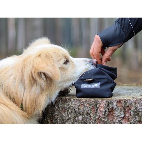 Aminela pamlskovník černý