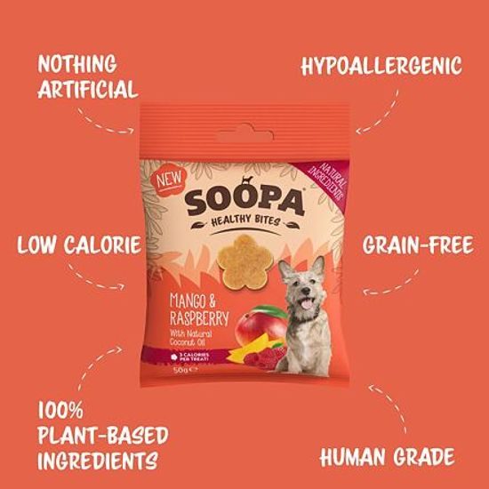 Soopa Pets Soopa Healthy Bites s mangem a malinou 50 g