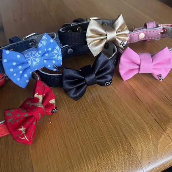 FUNKY DOG XXS Piñatex 1cm obojek a motýlek