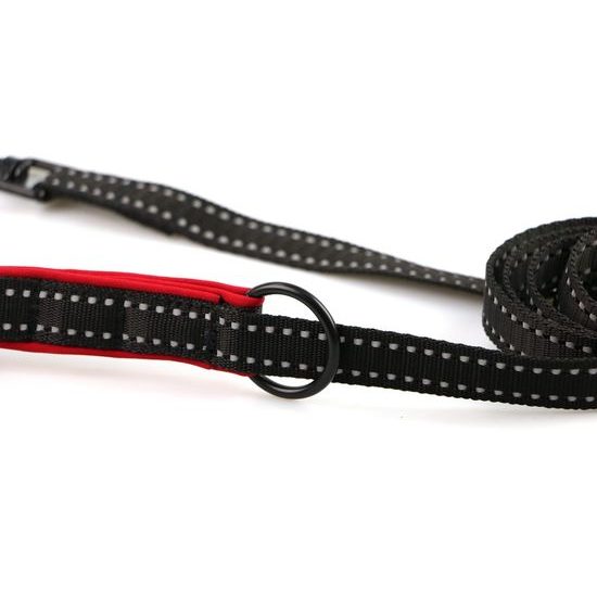 Aminela jednoduché vodítko nepodšité Sport & City 20mm/150cm červená