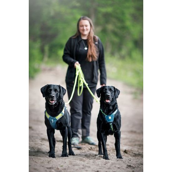 Woolly Wolf Alpha 360 Harness