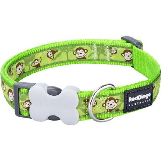 Red Dingo Obojek 1,2cm x 20-32cm