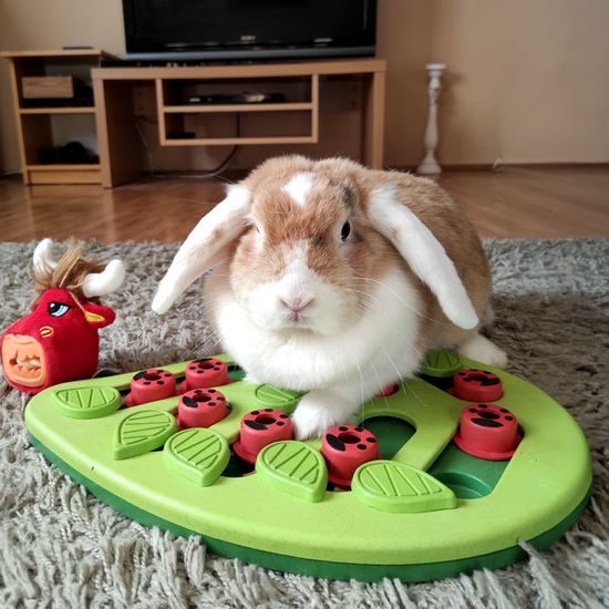 Nina Ottosson Pamlskový hlavolam