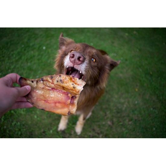 Doxneo vepřové ucho 5ks