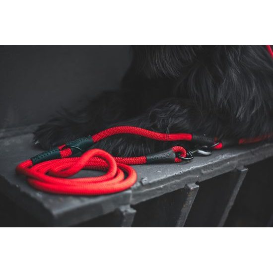 Aminela Vodítko lano s kůží přepínací černé kování červená