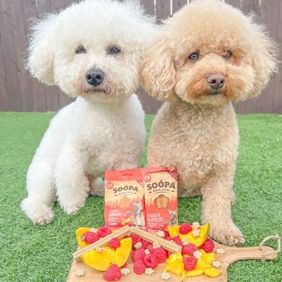 Soopa Pets Soopa Healthy Bites s mangem a malinou 50 g