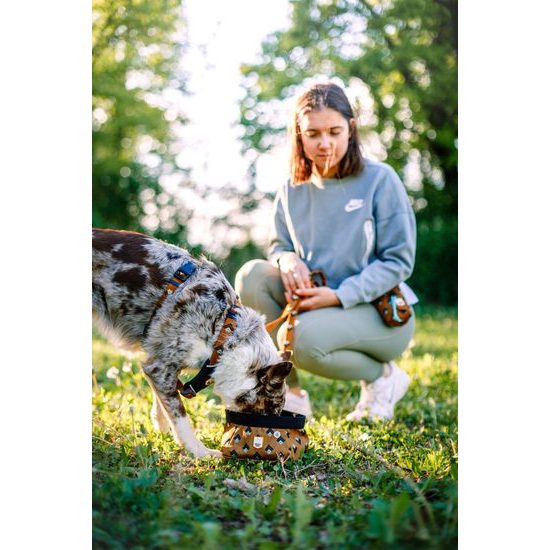 Woolly Wolf Sea To Summit Bowl