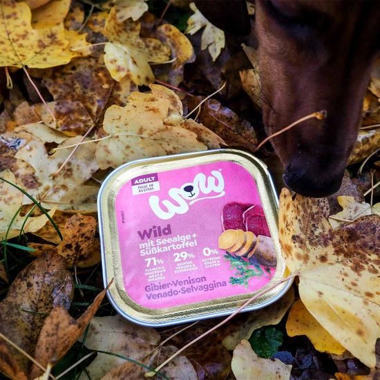 WOW Paštika Zvěřina s batáty Adult 150g