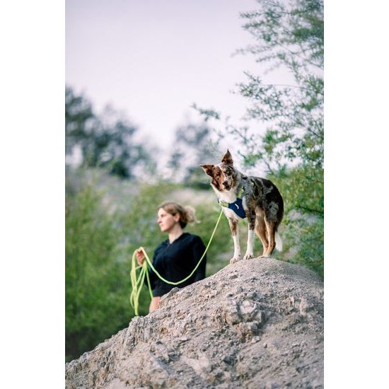 Woolly Wolf Long Rope Leash