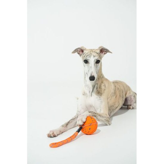 Cheerble Wicked Ball Air Rope