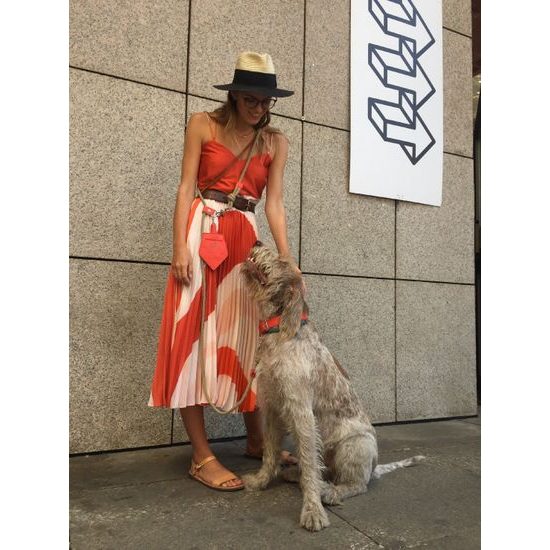 FUNKY DOG Červený pamlskovník Piňamka