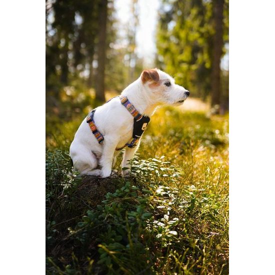 Woolly Wolf Nightless Night Harness