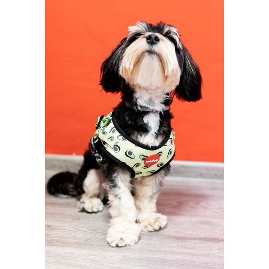 Reedog Kšíry pro psa AVOCADO