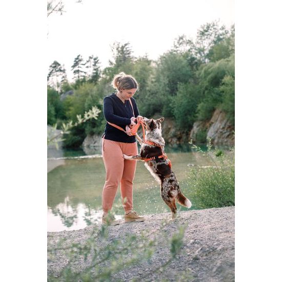 Woolly Wolf Roam Harness