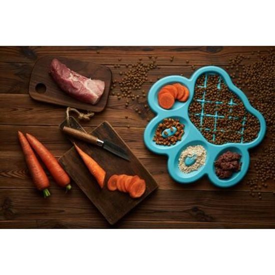 Red Dingo PetDreamHouse zpomalovací miska Paw Slow Feeder