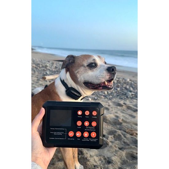 Patpet Výcvikový obojek a bezdrátový ohradník F900 PLUS