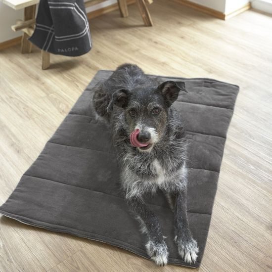 PALOPA Dog Mat Alma anthracite S