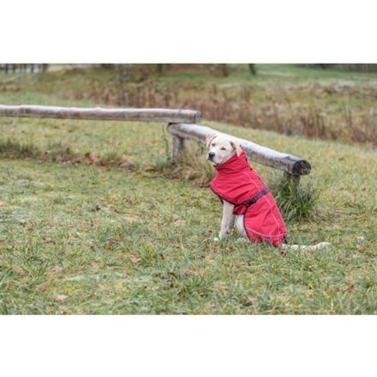 Trixie EXPLORE zimní termo-bunda pro psy