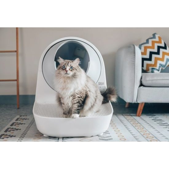 Catlink AI Scooper Young