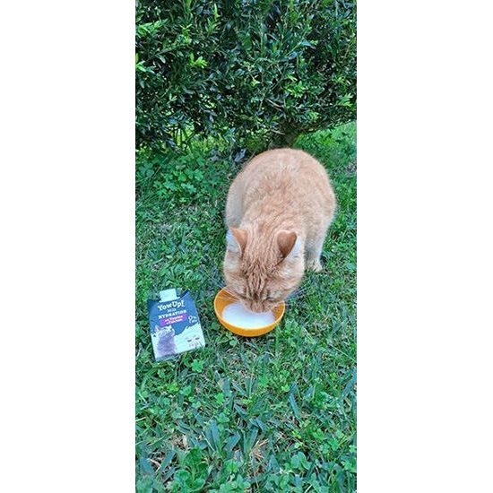 Dairy pet Yow Up! YOWUP Milk Hydratation Cats mléko pro kočky 200 ml