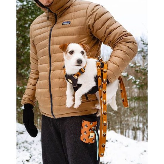 Woolly Wolf Sea To Summit Leash