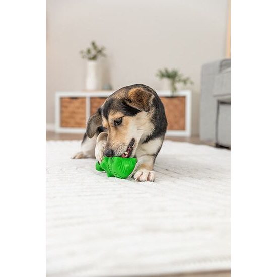 Trixie DOG ACTIVITY krokodýl na pamlsky 18 cm přírodní guma zelená