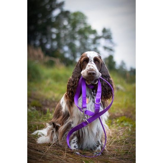 Aminela popruhové přepínací vodítko 15mm/220cm fialové