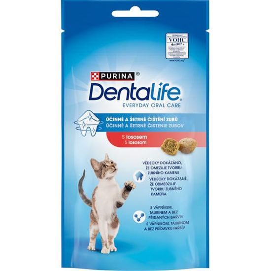 Purina DentaLife Cat salmon 40 g