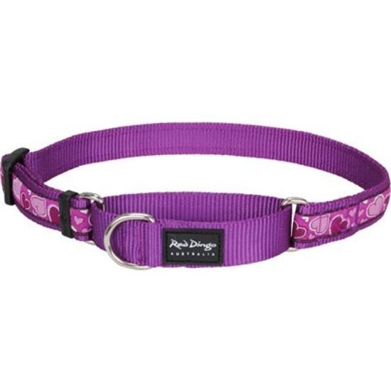 Red Dingo Obojek polostahovací 2,5cm x 41-62cm