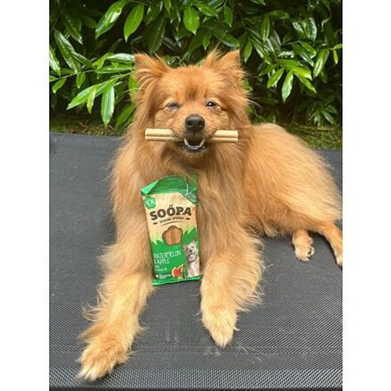 Soopa Pets Dentální tyčinky Soopa s melounem a jablkem 100 g