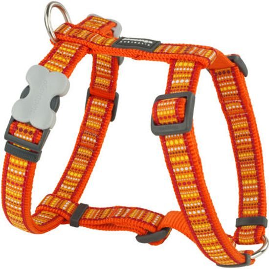 Red Dingo Postroj 15 mm x 36-54 cm Lotzadotz Orange