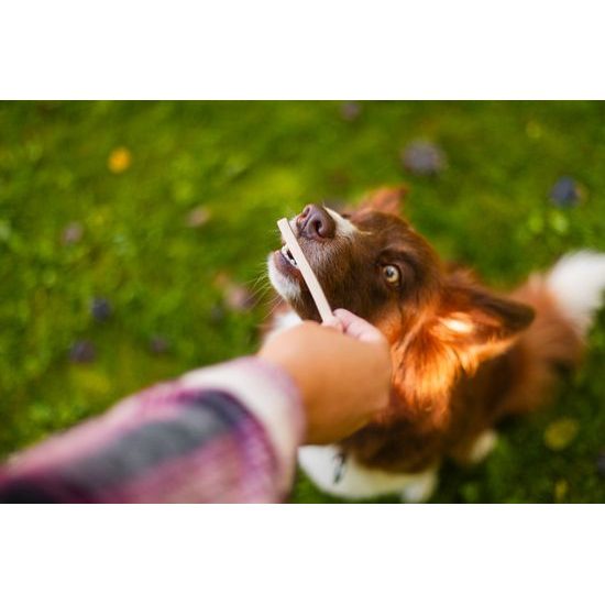 Løype Tyčinky Quacky bounty