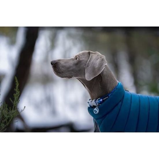 Red Dingo Puffer Jacket Modrá / Tyrkysová velikost bundy 25 cm