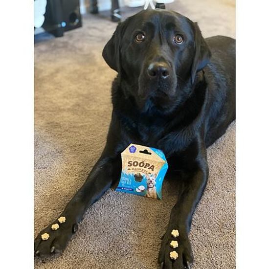 Soopa Pets Soopa Healthy Bites s kokosem a chia semínky 50 g