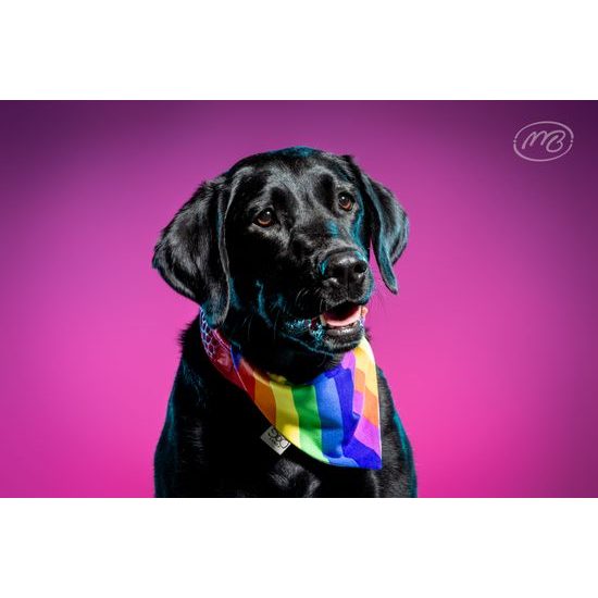 FUNKY DOG Oboustranný dúhový šátek pro psa