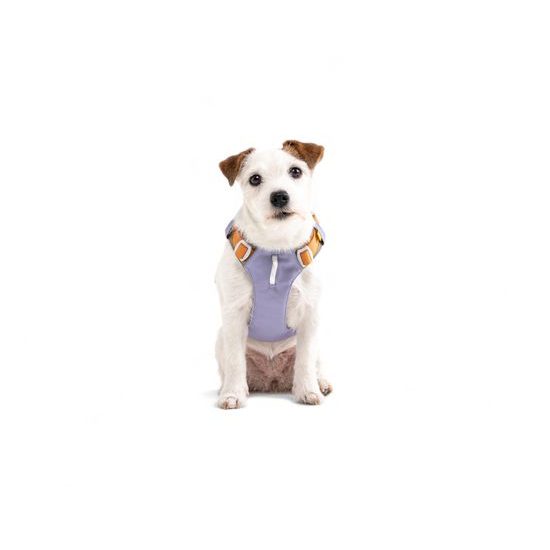 Woolly Wolf Alpha 360 Harness