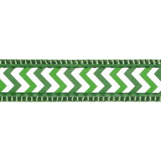 Red Dingo Vodítko přepínací 25 mm x 2 m Ziggy Rfx Zelená