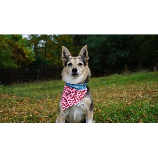 FUNKY DOG Vánoční šátek pro psy