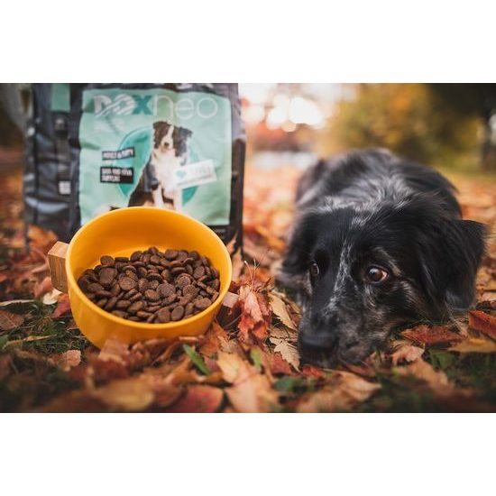 Doxneo Turkey krůtí bez obilovin 12kg