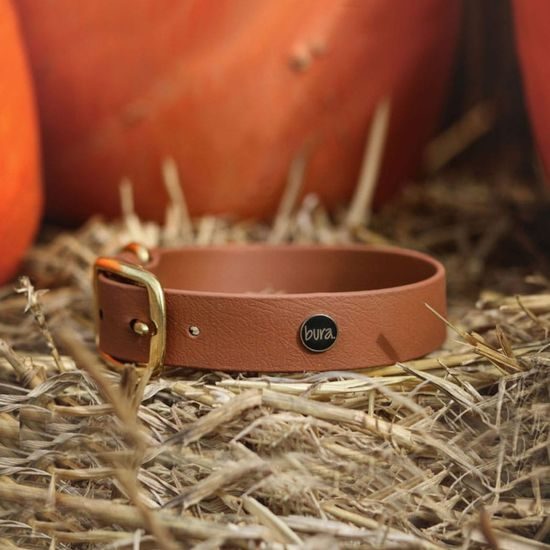 Bura Obojek světle hnědý Dog on the Rocks